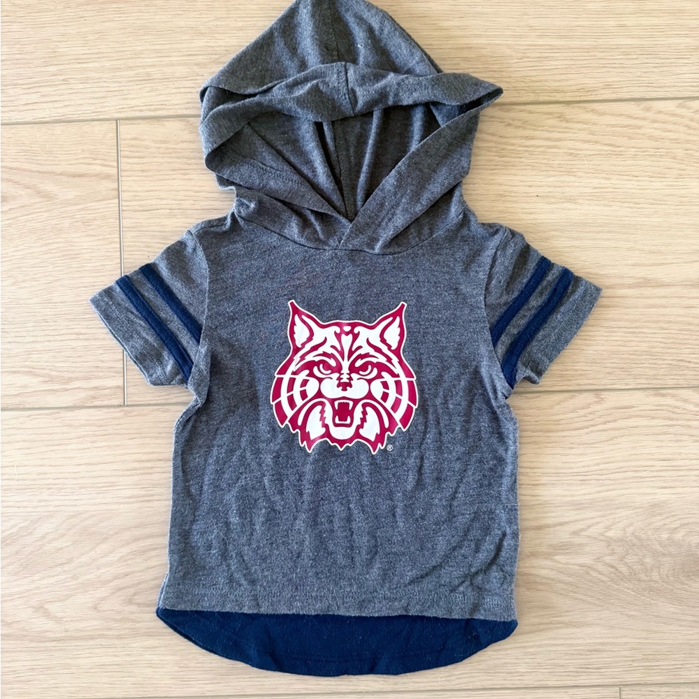 Colosseum Gray Hoodie with Wildcat Graphic